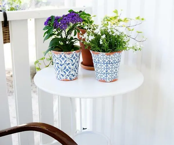 Miętowe Wzgórza Mansion House Hotel *